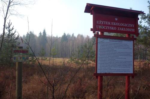 Uroczysko Zakłodzie