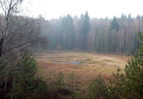 Uroczysko Zakłodzie