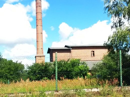 Wierzbięcin