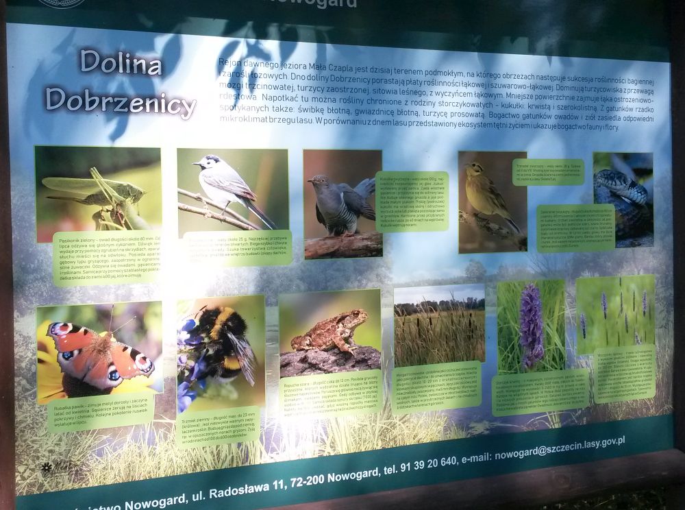 Szlak Olbrzymów, Dolina Dorzenicy
