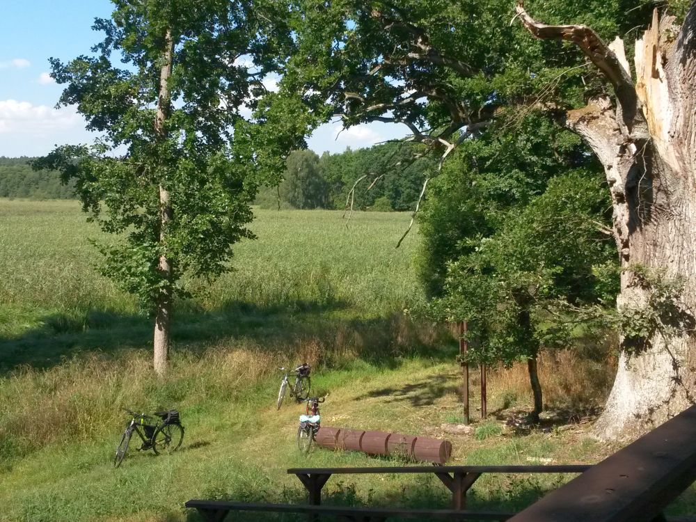 Dobra, grodzisko Żurawi Ostrów